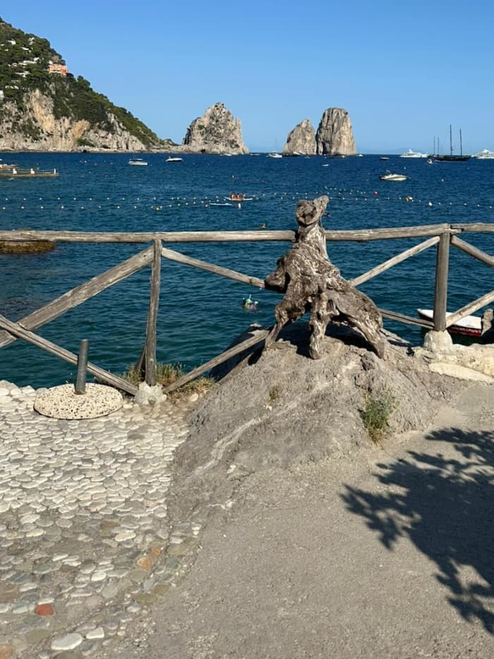 Procida Experience Tornado38 – Dagtocht per boot