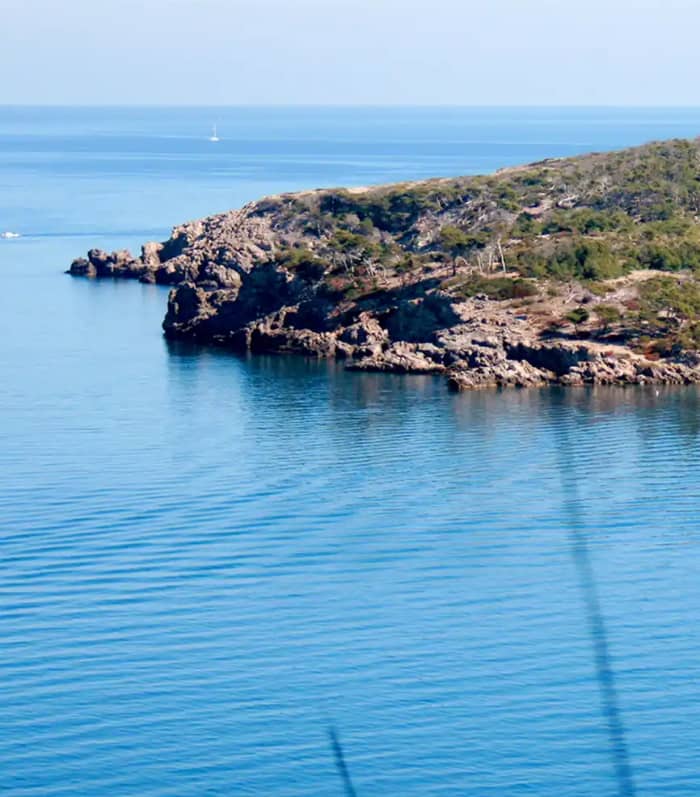 Rondleiding door de baai van Alcudia en het natuurpark Levante