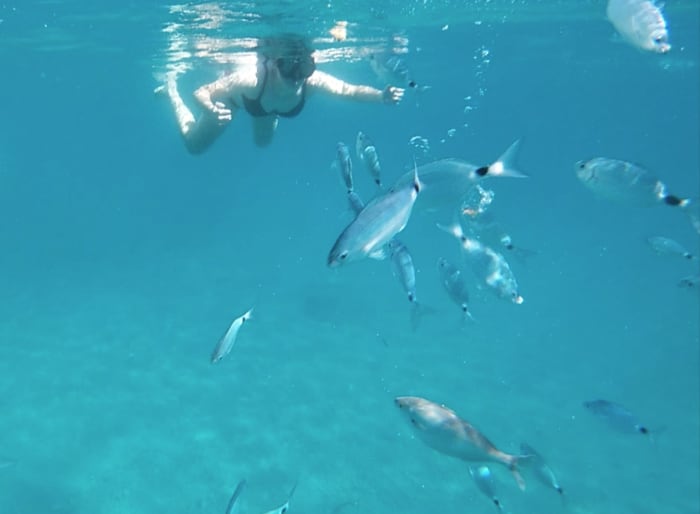 Makarska: Private Full-Day Boat Tour Hvar, Brač and Blue Lagoon