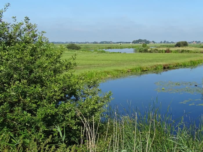 3-Hour Private Cruise – Sneek, Lakes & Hidden Waterways