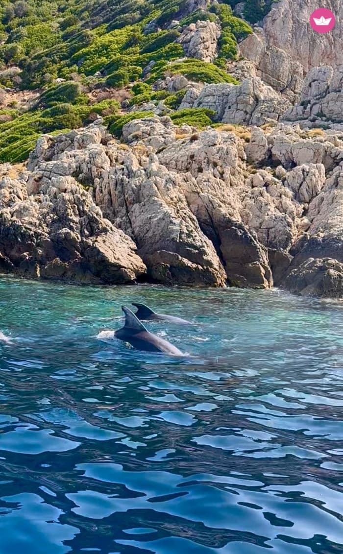 A essência de Gallura vista de barco.