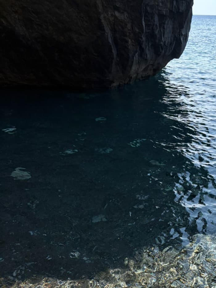 Esperienza di mezza giornata con Snorkeling & Soft Drink