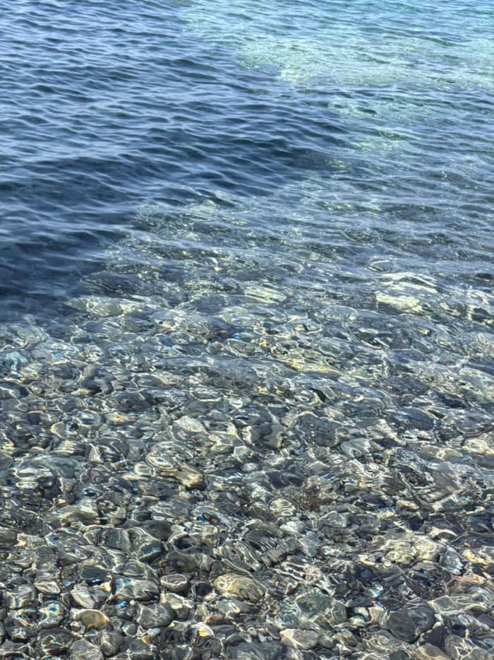 Esperienza di mezza giornata con Snorkeling & Soft Drink