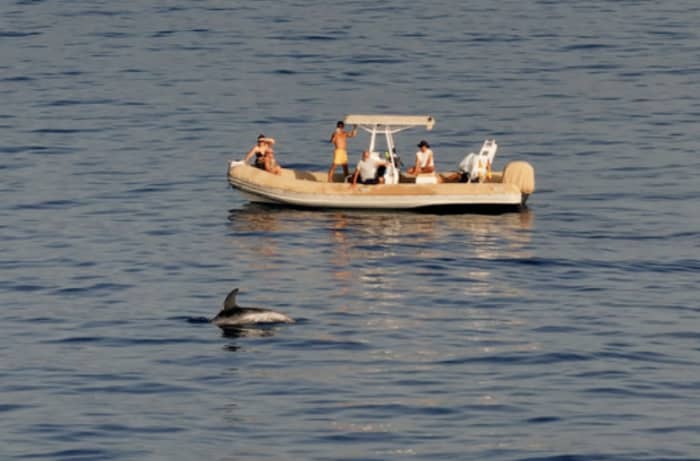 Intimate Marine expedition