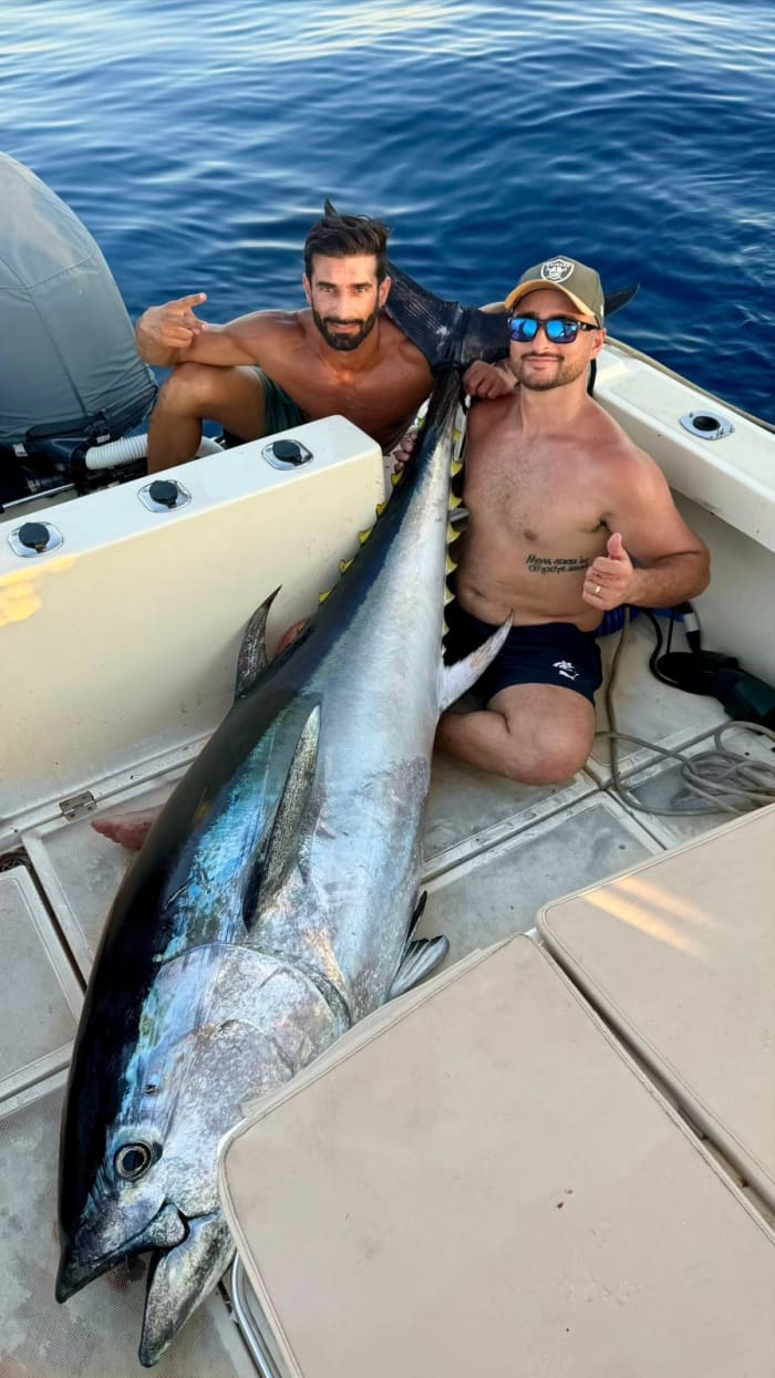 Pesca de atum-rabilho