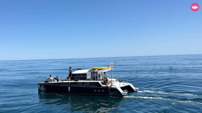 Two hours of pure Mediterranean: swimming, cava and dolphins in Benalmádena