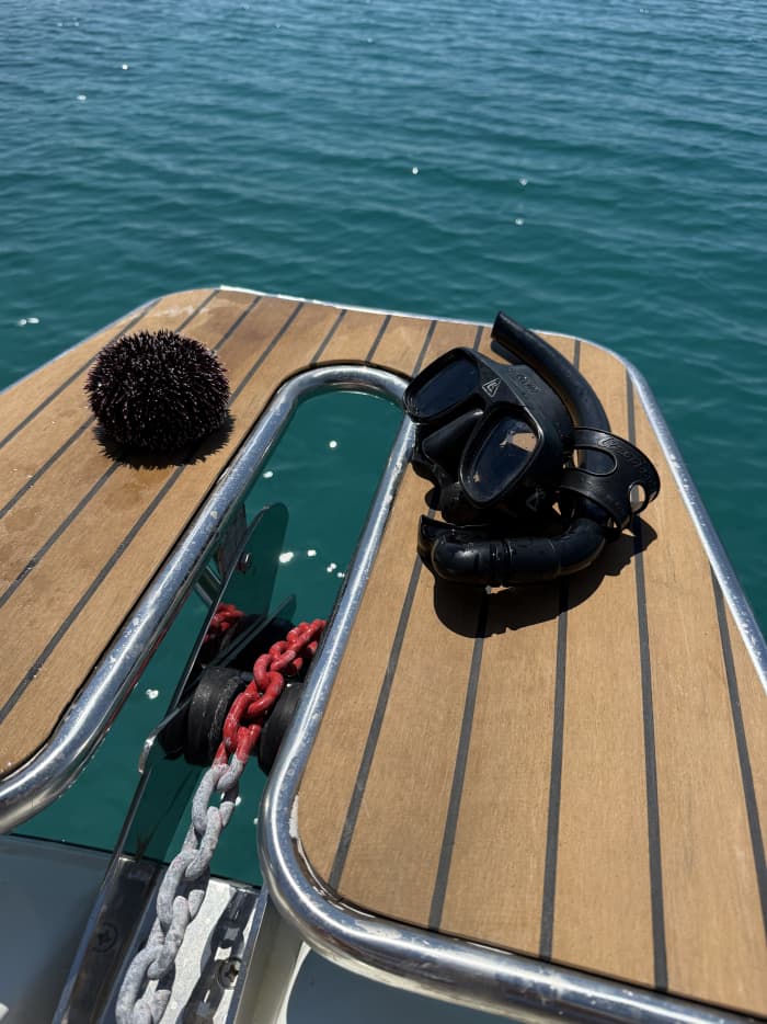 Escursione in barca lungo la costa istriana: mezza giornata a bordo di una lussuosa imbarcazione.