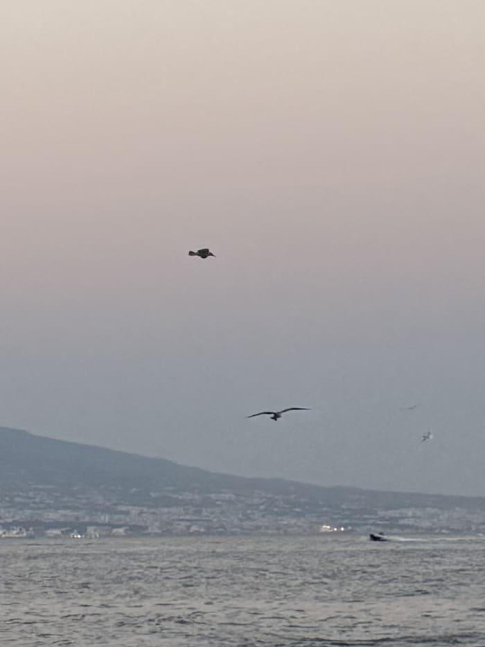 Afternoon dinghy tour - Sunset in Posillipo, with aperitif moored in front of Lungomare Caracciolo