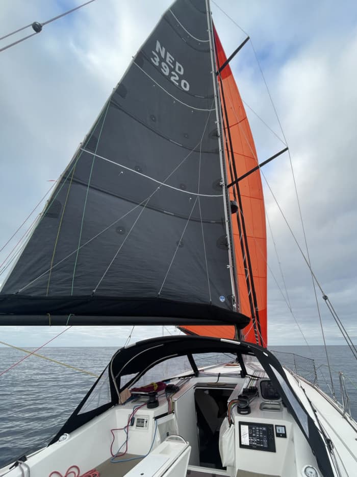 Half-Day Sailing Trip on the Wadden Sea from Willemsoord