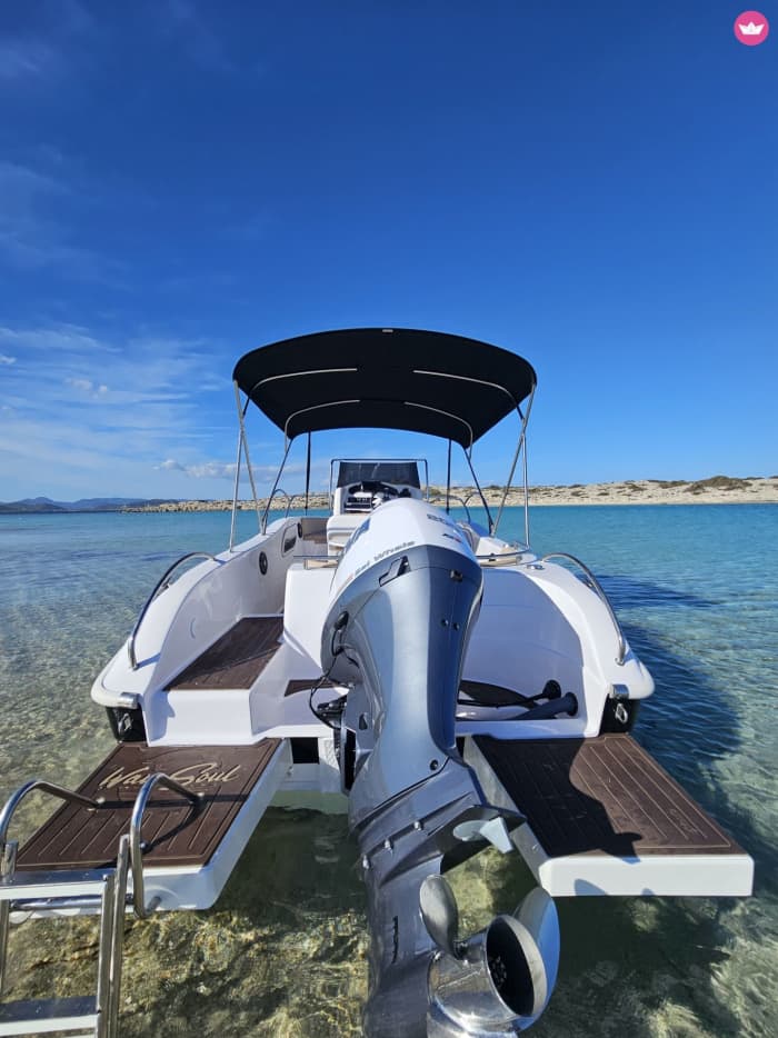 8 uur durende Ibiza & Formentera-trip: geheime baaien, strandclubs en kristalhelder water