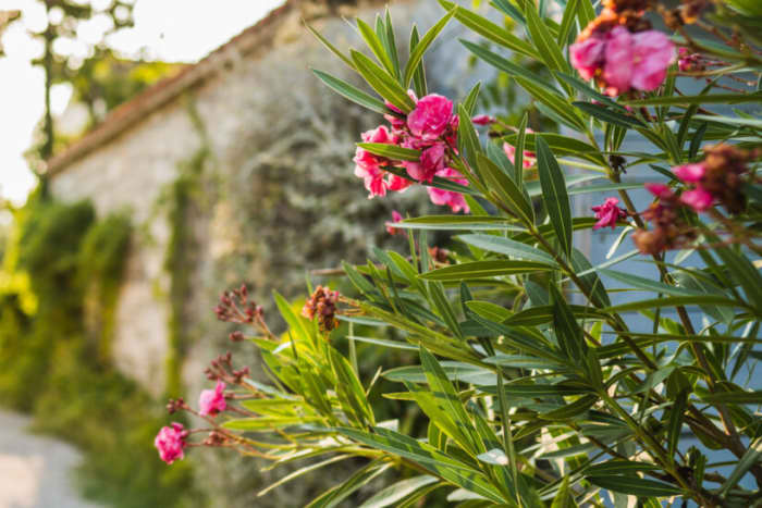 Location de trimaran privé — Archipel de Korcula | Portes de l'Adriatique