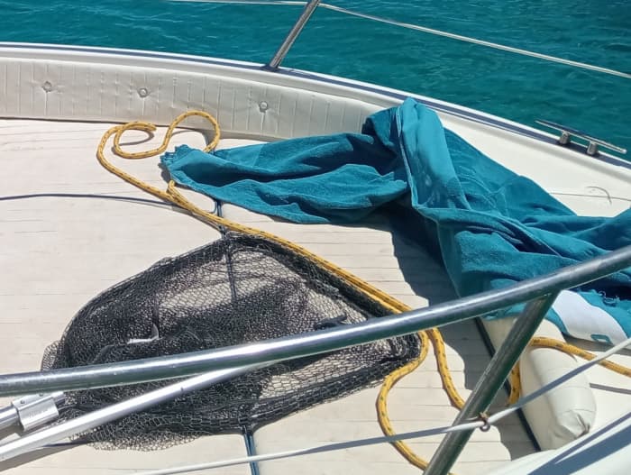 Boottocht in Cagliari – 3 uur baaien en snorkelen