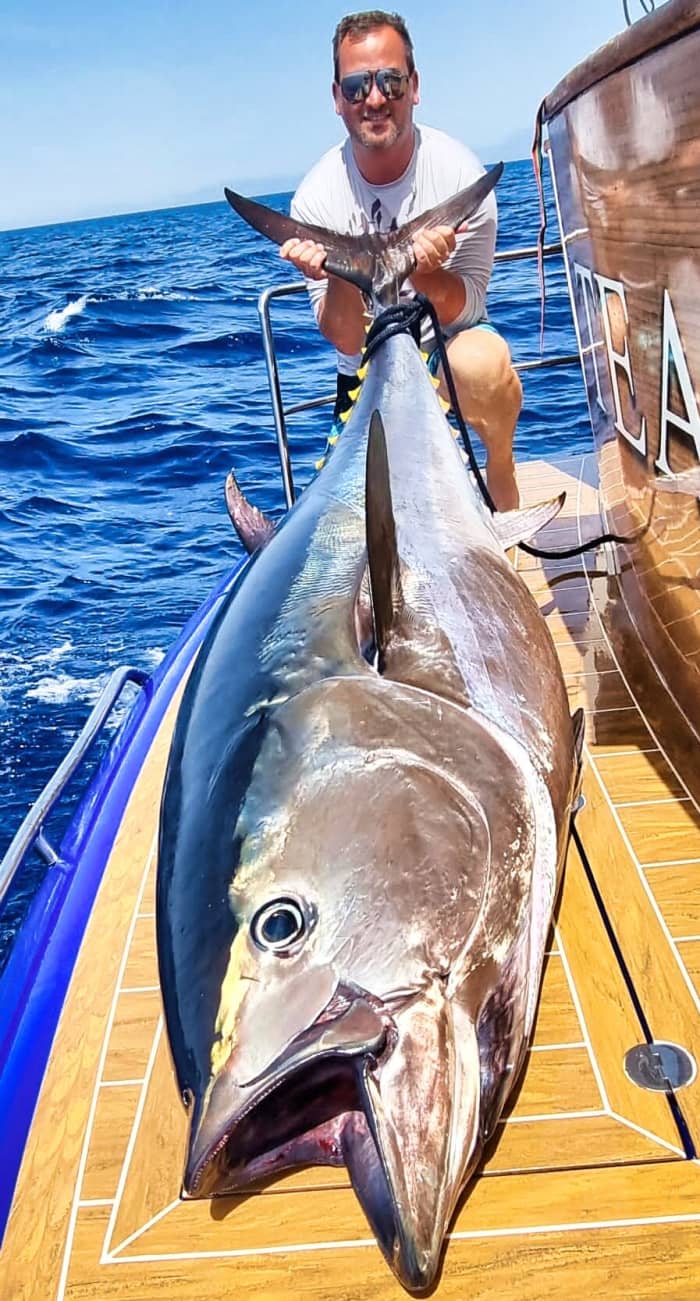 Extreme Fishing Expedition: Giants of the Mediterranean