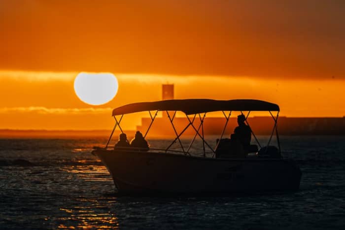 Excursion privée en bateau sur le fleuve Douro