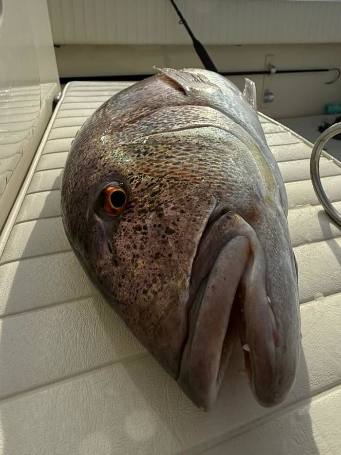 Voyage de pêche de luxe