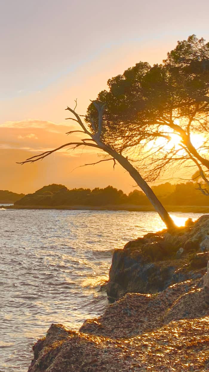 Alcudia: Sunset on a traditional boat. Tapas & local wine