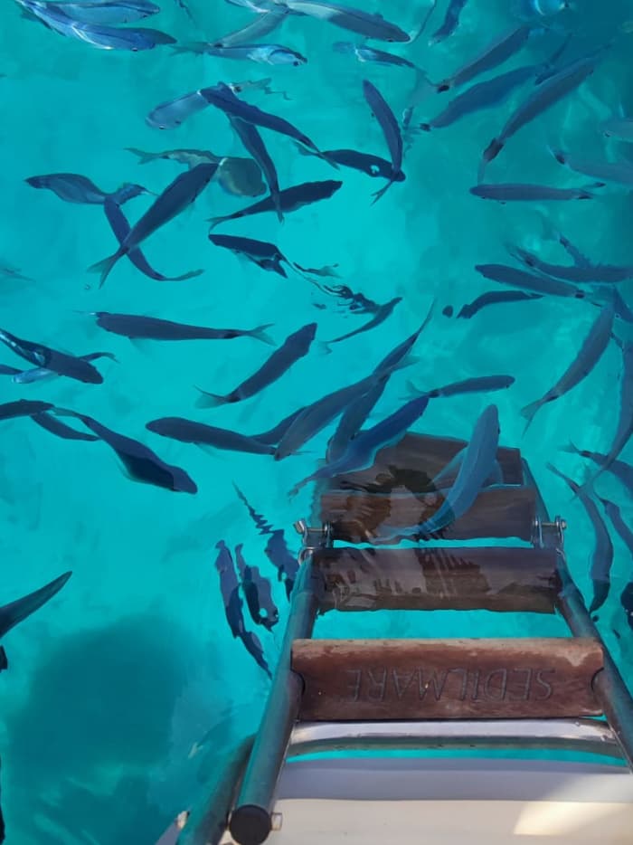 Private tour, Palau - La Maddalena Archipelago or Corsica