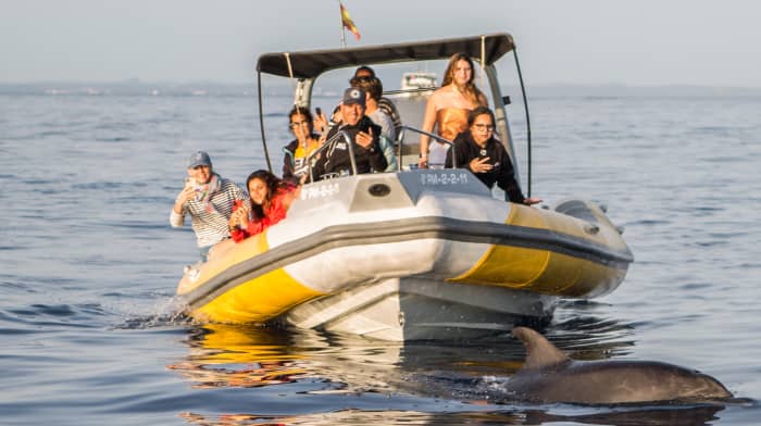 Tour delfines