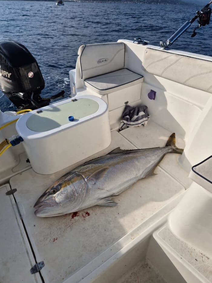 EXCURSIÓN DE PESCA EN LIGURIA: ¡Relájate, diviértete y disfruta de pura adrenalina!