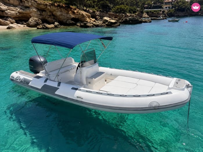 Full Day on BWA 650 — Up to 12 Passengers, Maximum Freedom