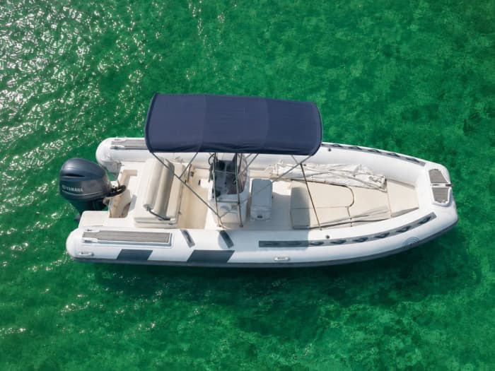 Full Day on BWA 650 — Up to 12 Passengers, Maximum Freedom