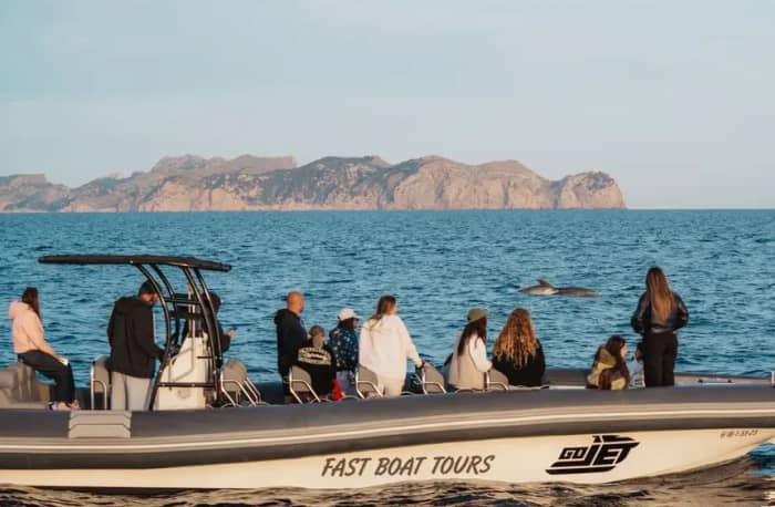 Dolphin watching and cave exploration