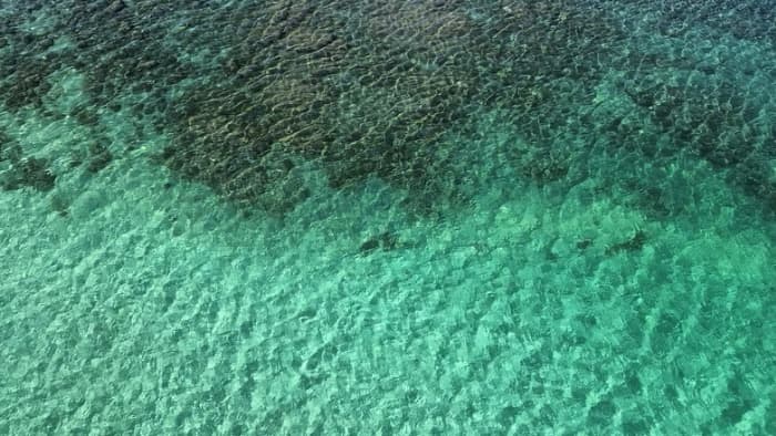 An Exclusive Day in the Heart of the Costa Smeralda from Porto Rotondo