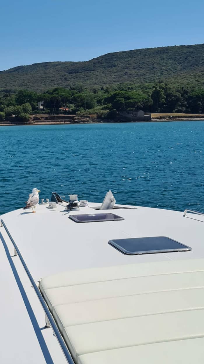 HALF-DAY EXPERIENCE IN ELBA AND BARATTI