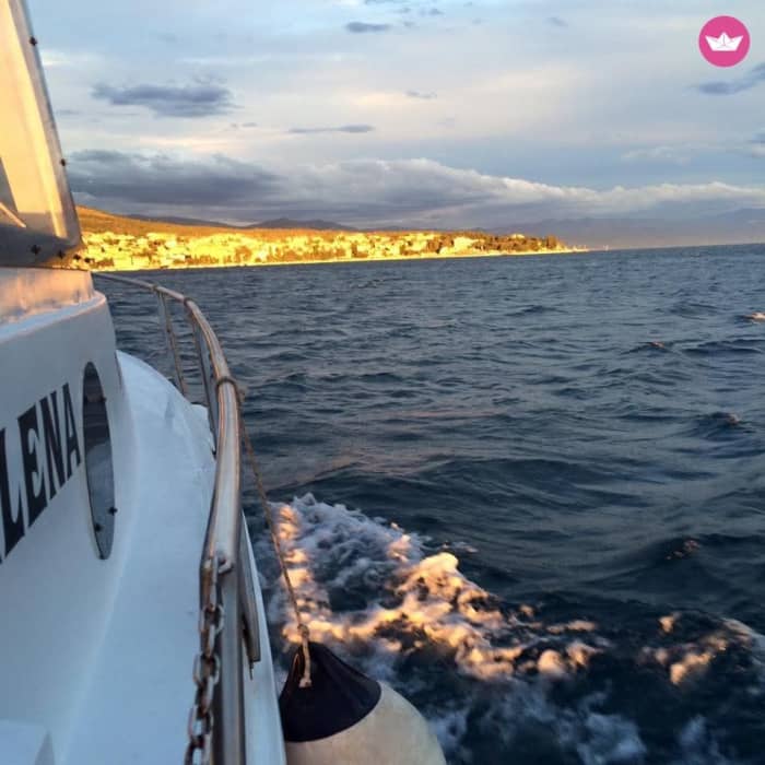 Crikvenica Coastal Escape & Dolphin Search (4 Hours)