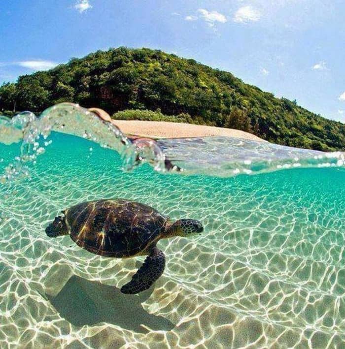 Itaka Private Yacht Cruise