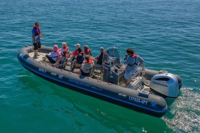 Van Faro tot de verborgen pareltjes van Ria Formosa