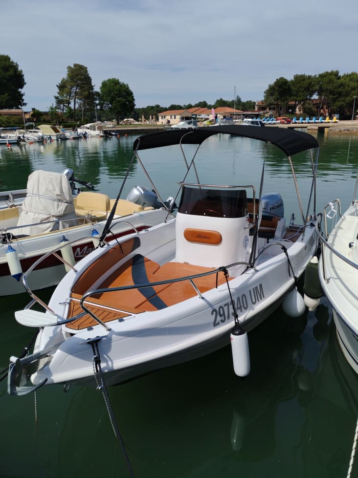 Explorez l'Istrie en bateau, excursion privée d'une journée au départ d'Umag