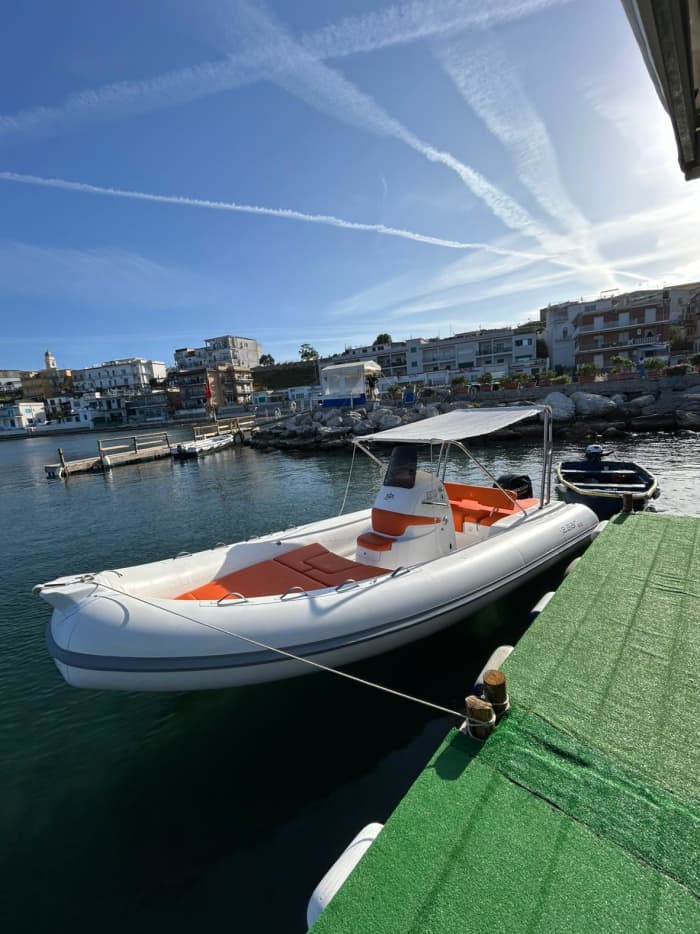 Giornata Completa in Barca — 10 Ore tra Ischia e Procida