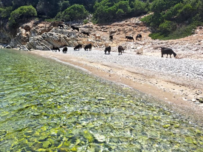 Scorpios, Meganisi & the Hidden Caves – Full Day from Nydri