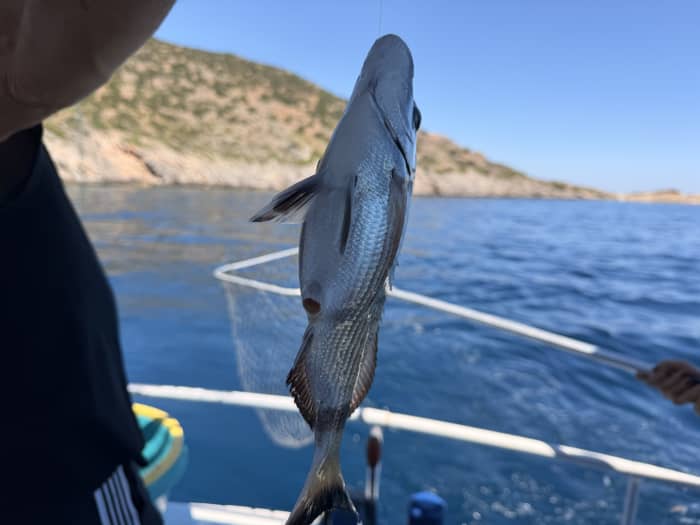 Expérience de pêche grecque traditionnelle