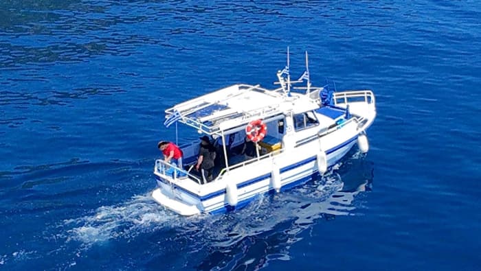 Expérience de pêche de l'après-midi