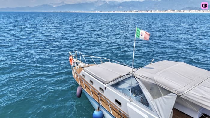 Boottocht van een halve dag vanuit Viareggio: eiland Tino en Palmaria