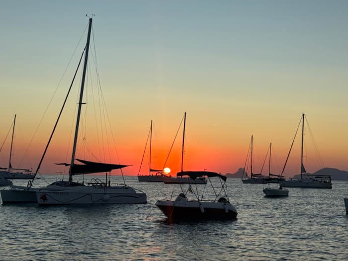 Four hours in the coves of Calvià · Appetizer, swimming and snorkeling