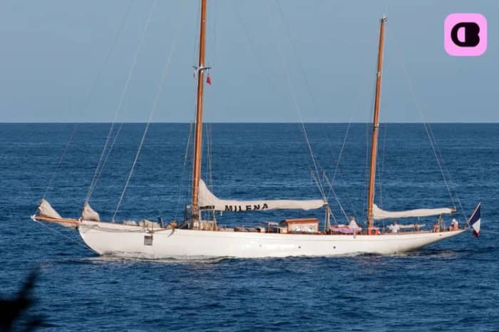 Dagtocht op een uitzonderlijk zeiljacht met schipper, vertrekkend vanuit Cannes.