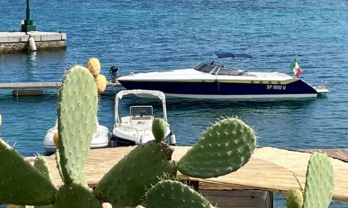 Half-Day Aboard James Bond's Boat in La Maddalena