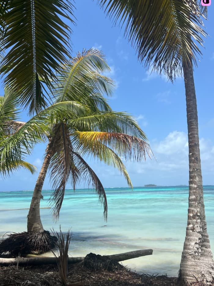 Bocas del Toro op je eigen tempo: 6 uur zeilen en avontuur