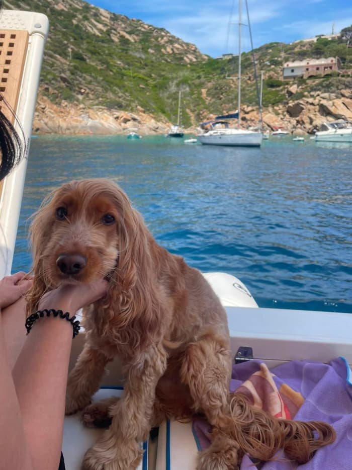 Ganztägiger Bootsausflug von Porto Ercole nach Giannutri und Giglio, All-inclusive