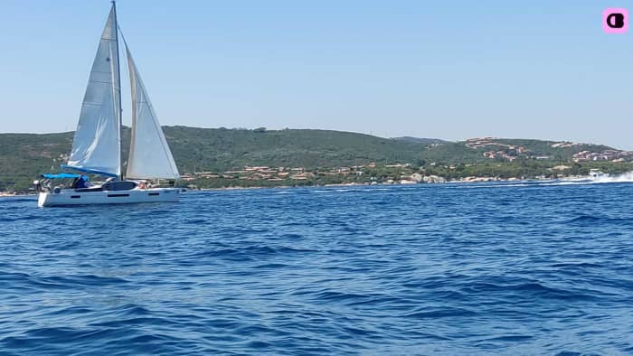 Sunset Aperitif with Dolphins in the Maddalena Archipelago