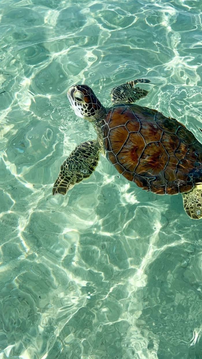 Private Yacht Cruise – North or South Zakynthos