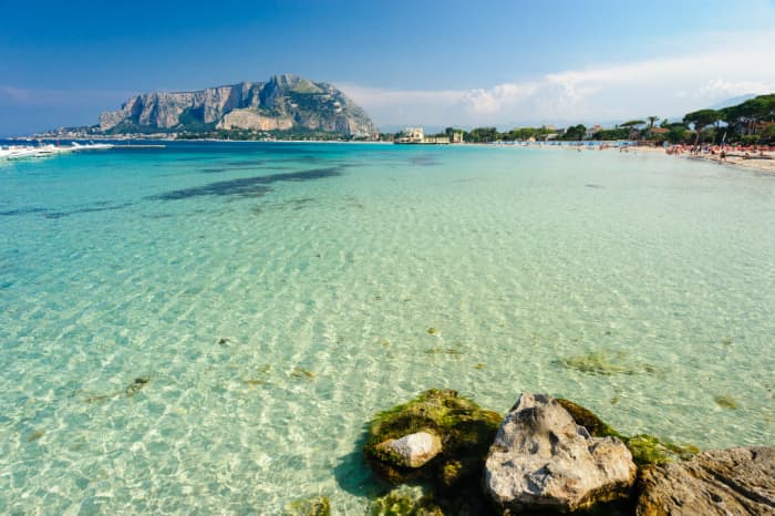 Catamaran cruise with gourmet lunch and wine