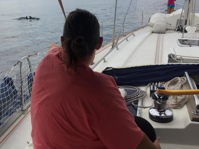 Setzen Sie Kurs auf Freude: Ein ganzer Tag authentisches Segeln in Loano auf einem Segelboot