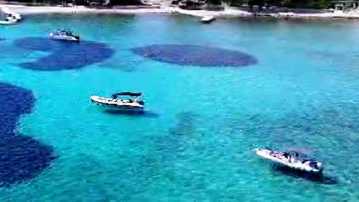 Vis, Blue cave and Hvar the most excited  boat tour