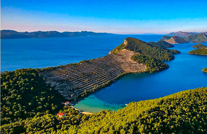 Ston & west Elafiti islands private boat tour