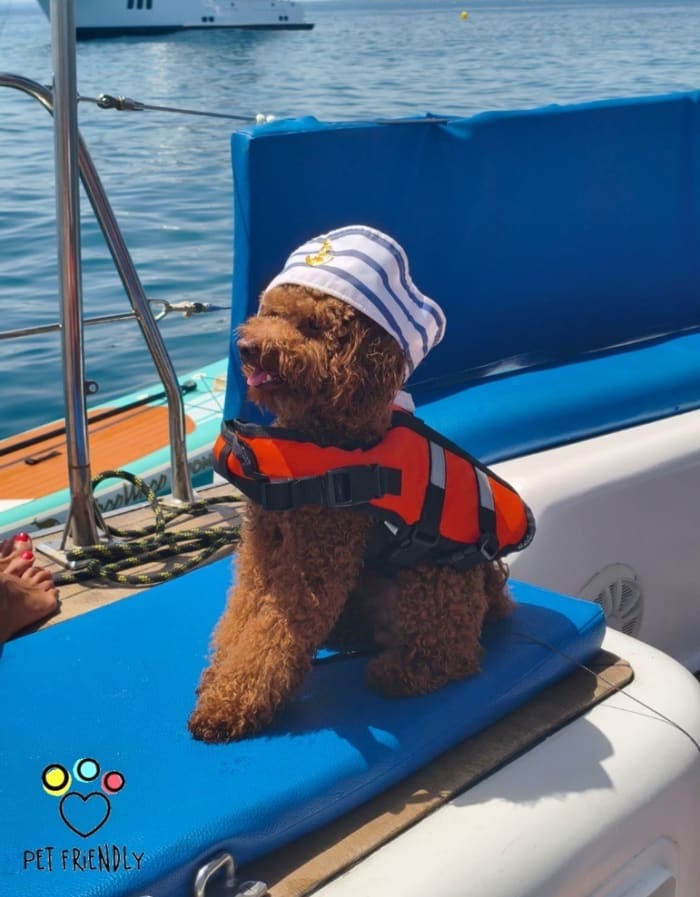 Discover Alicante on a half-day sailing trip around its bay.