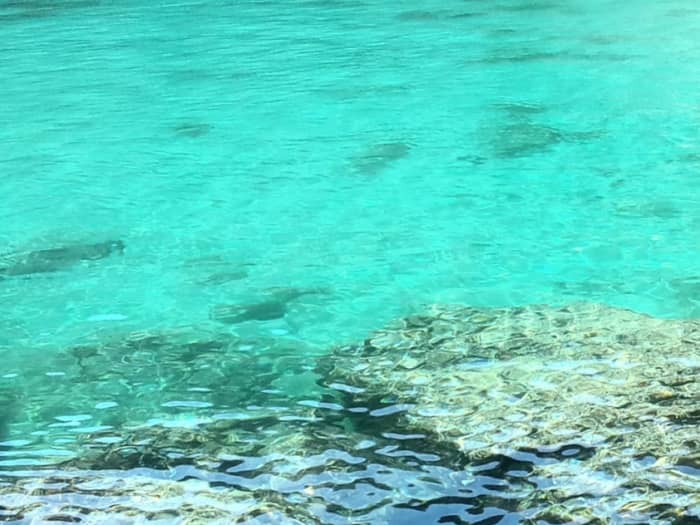 6 Stunden Segeln entlang der Küste von Santa Maria di Leuca